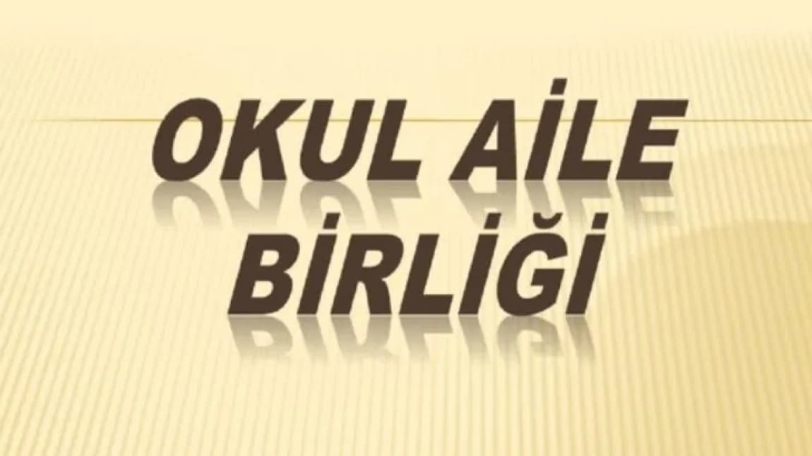 OKUL AİLE BİRLİĞİ 2024 YILI SONU DENETİM RAPORU